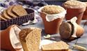 Veranstaltungsbild Brot backen im  Blumentopf